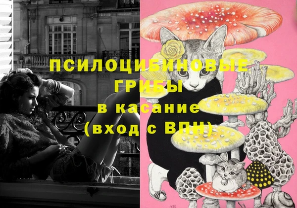 меф Горнозаводск